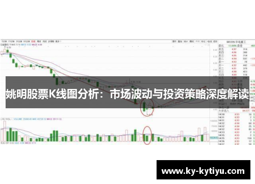 姚明股票K线图分析：市场波动与投资策略深度解读