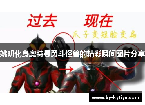 姚明化身奥特曼勇斗怪兽的精彩瞬间图片分享